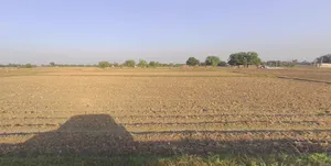 Barnoli, Gujarat, India preview 2