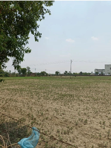 Aliganj, Raisen, Madhya Pradesh, India