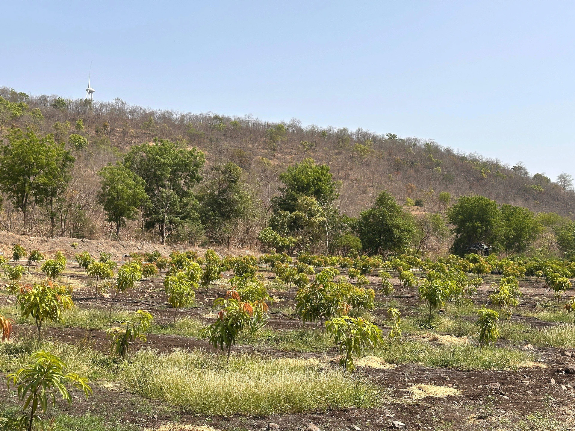 Q6CJ+WQ8, Dehariyasahu, Madhya Pradesh 455221, India