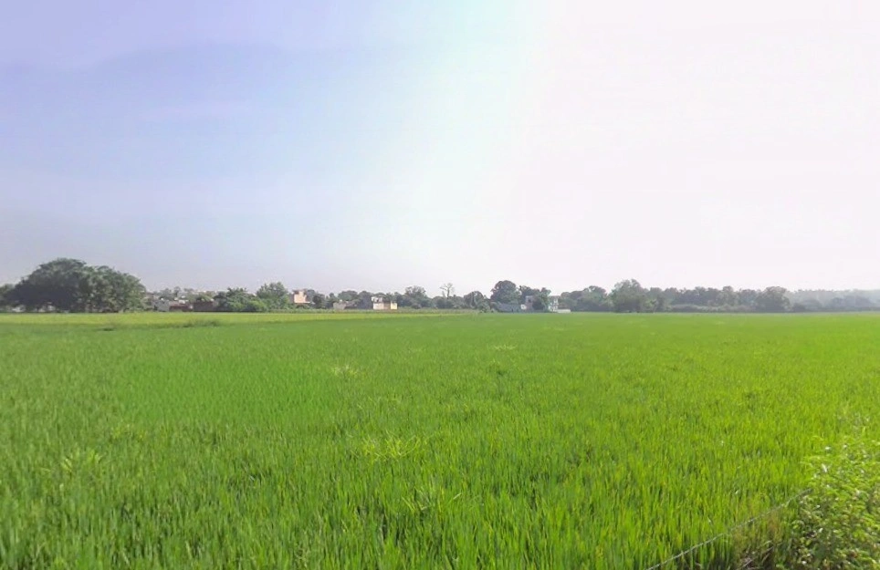 Jamgaon, Chhattisgarh 493661, India