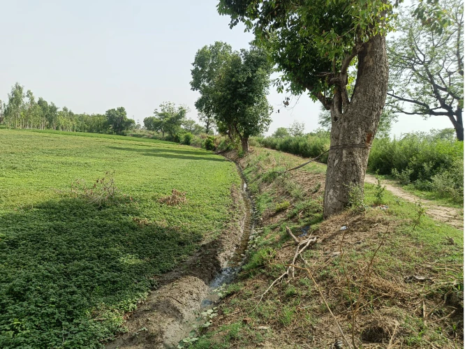MGH2+QJ9, Seoni, Rampuri, Madhya Pradesh 480110, India