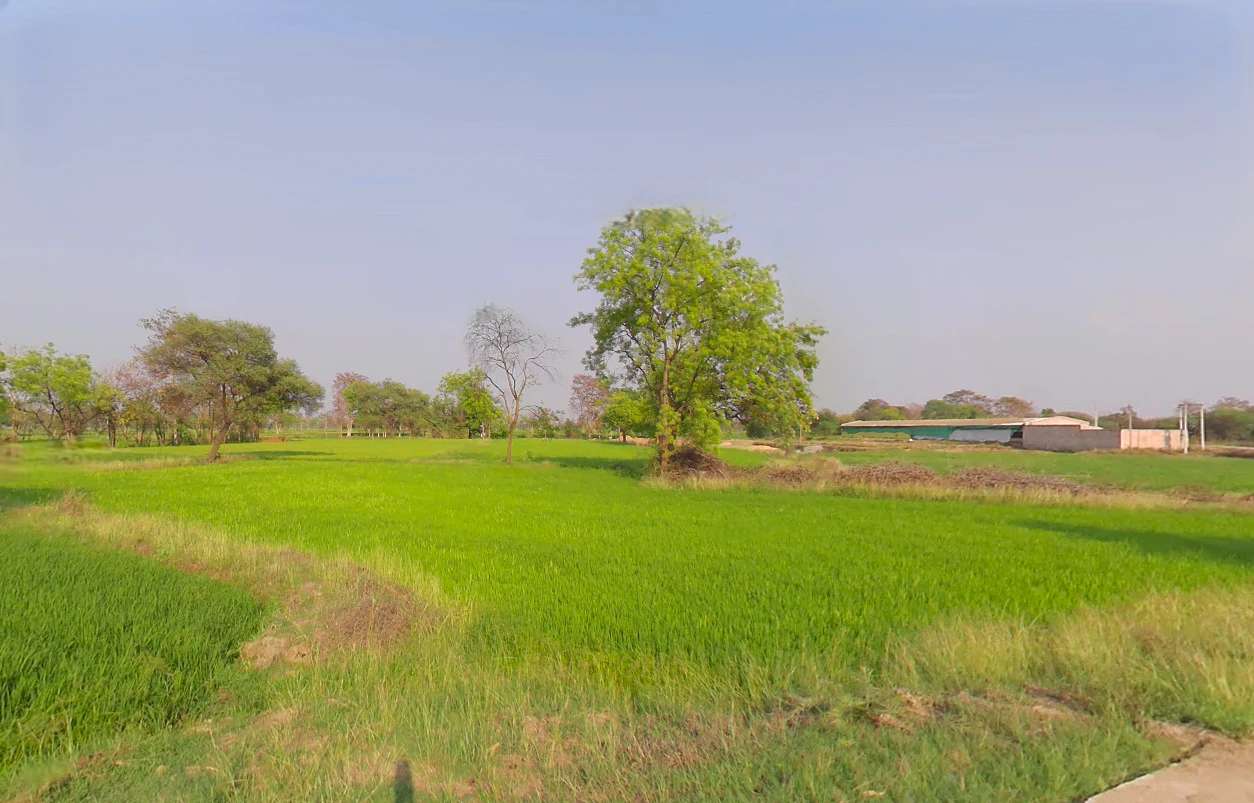 Ataria, Chhattisgarh 491885, India