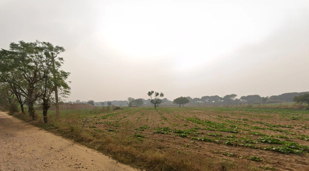 Hetampura, Haryana 127029, India preview 2