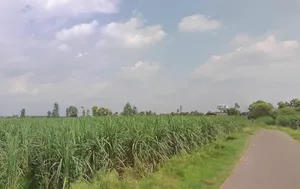 Budhana, Uttar Pradesh 251309, India preview 3