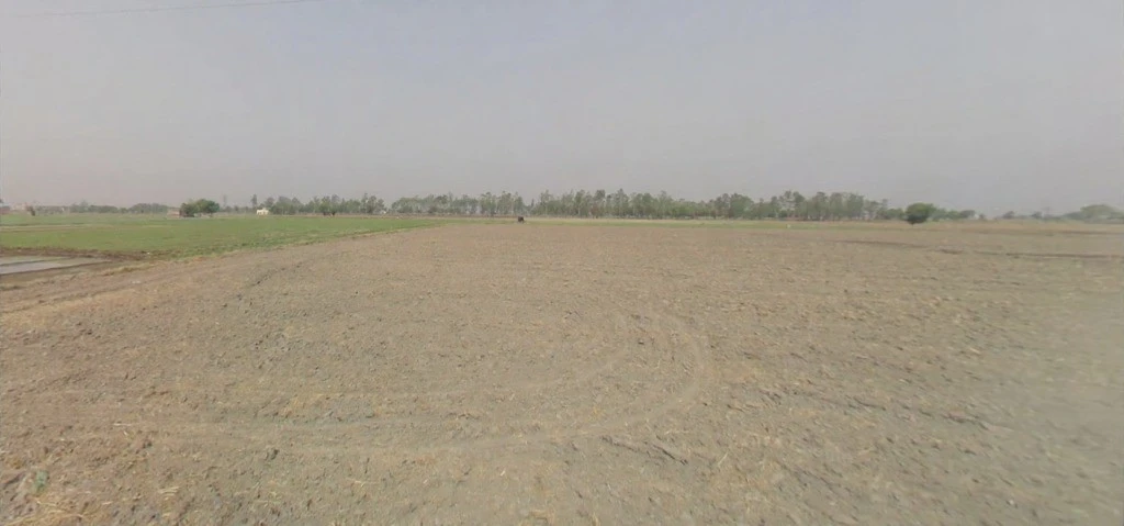 Samalkha, Haryana, India