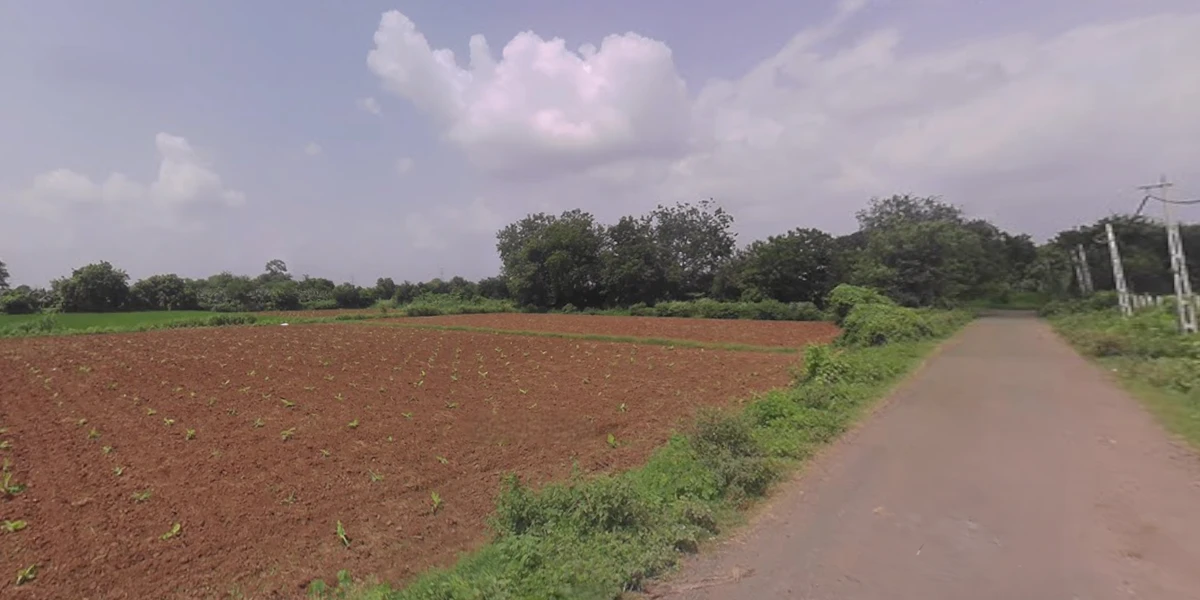 Rethal, Gujarat 382110, India