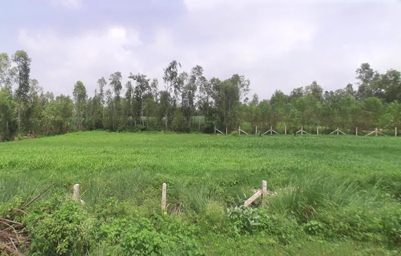 Kurdi Khera, Uttar Pradesh 247129, India preview 2