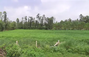 Kurdi Khera, Uttar Pradesh 247129, India preview 2