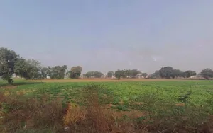 Chamroda, Rajasthan 301405, India preview 3