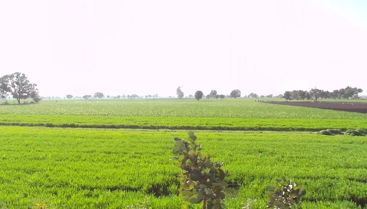 Bangrasia, Bhopal, Madhya Pradesh, India