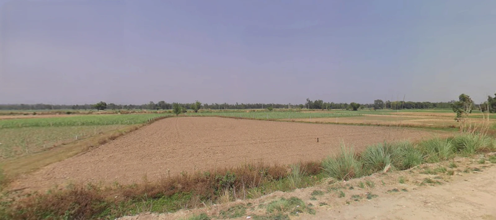 Maharshi Dayanand Gram Delhi-Haridwar, National Highway, near Bahadarbad, Uttarakhand 249405, India