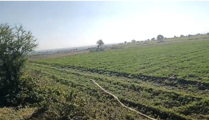 WCGM+2J5, Chakatya, Madhya Pradesh 458389, India