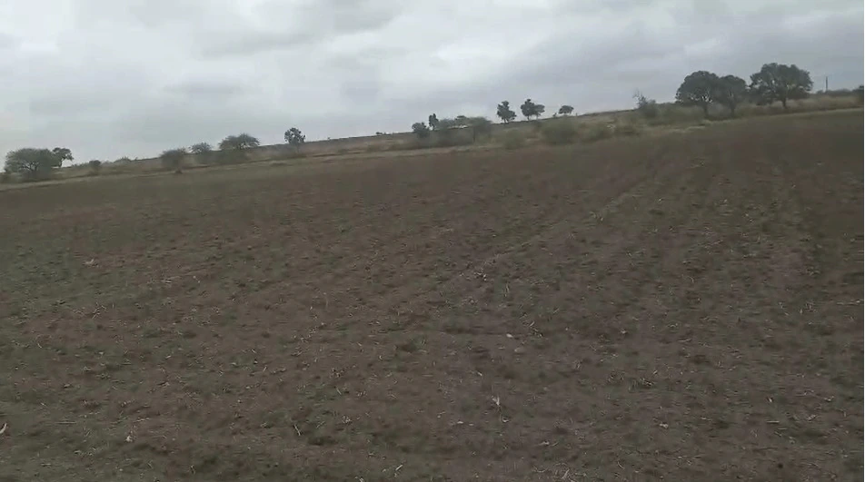 Dhamnod, Madhya Pradesh, India