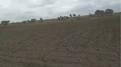 Dhamnod, Madhya Pradesh, India preview 2