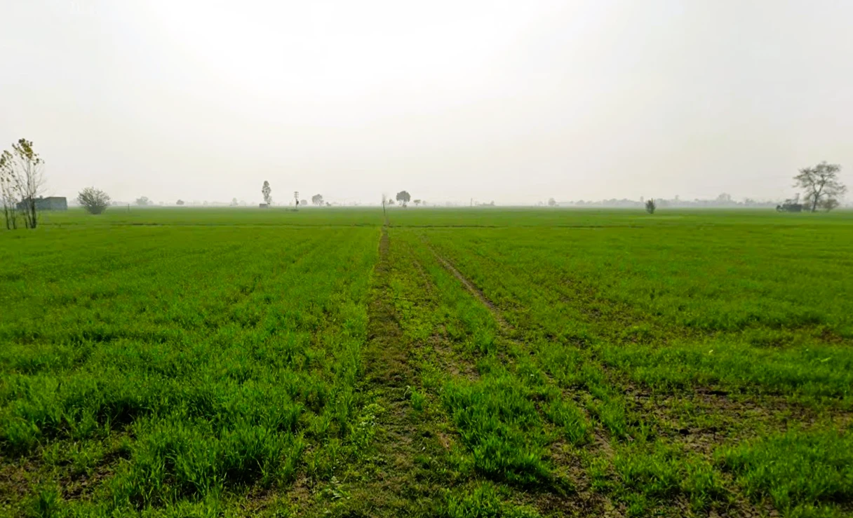 Govind Majra, Haryana, India