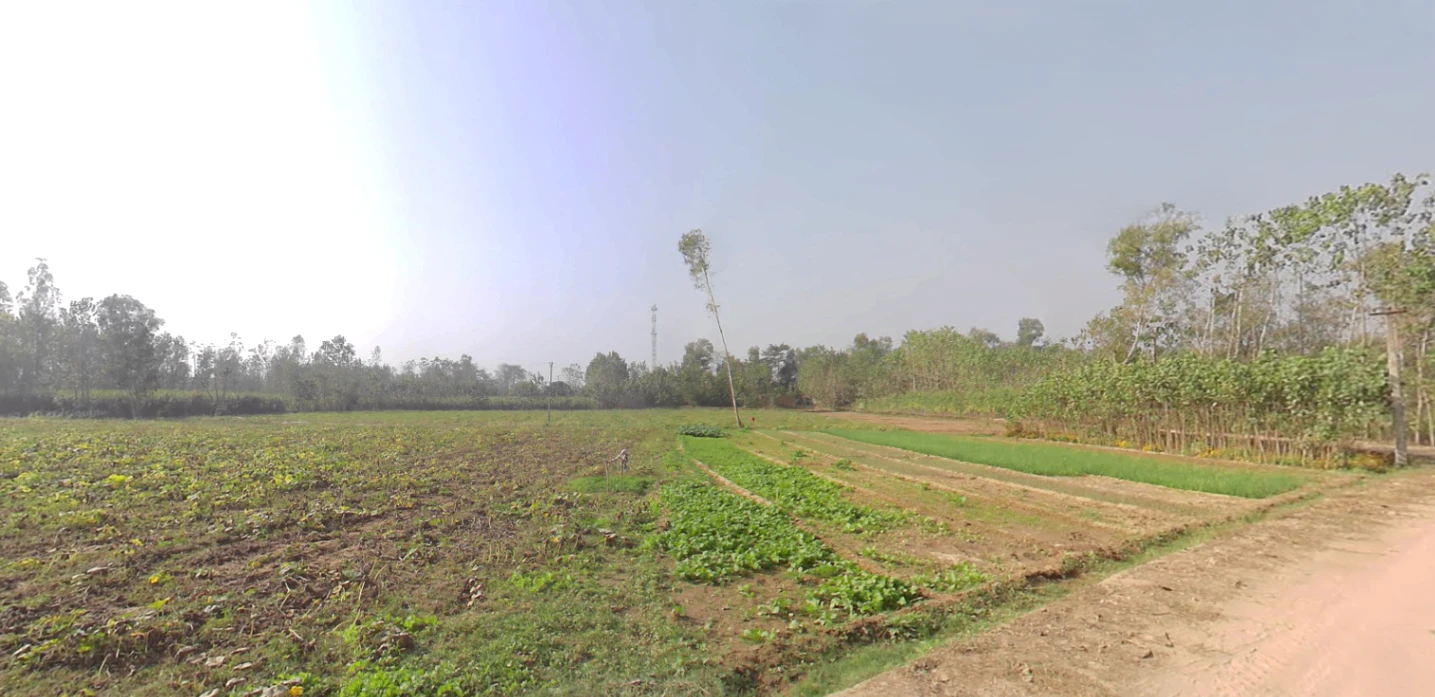 Hasanpur, Uttarakhand 247662, India