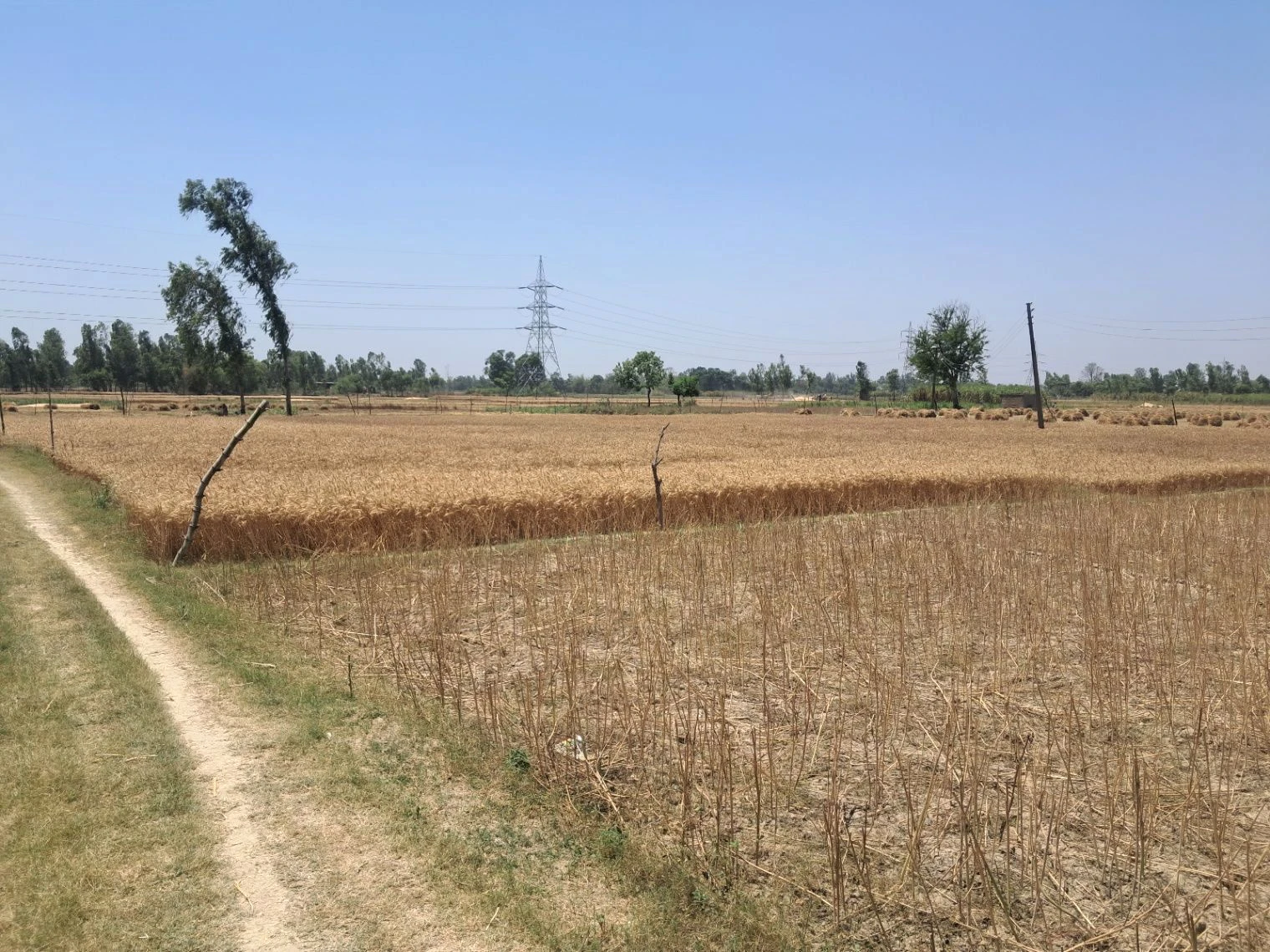P5FJ+PF Malik Pur, Uttar Pradesh, India