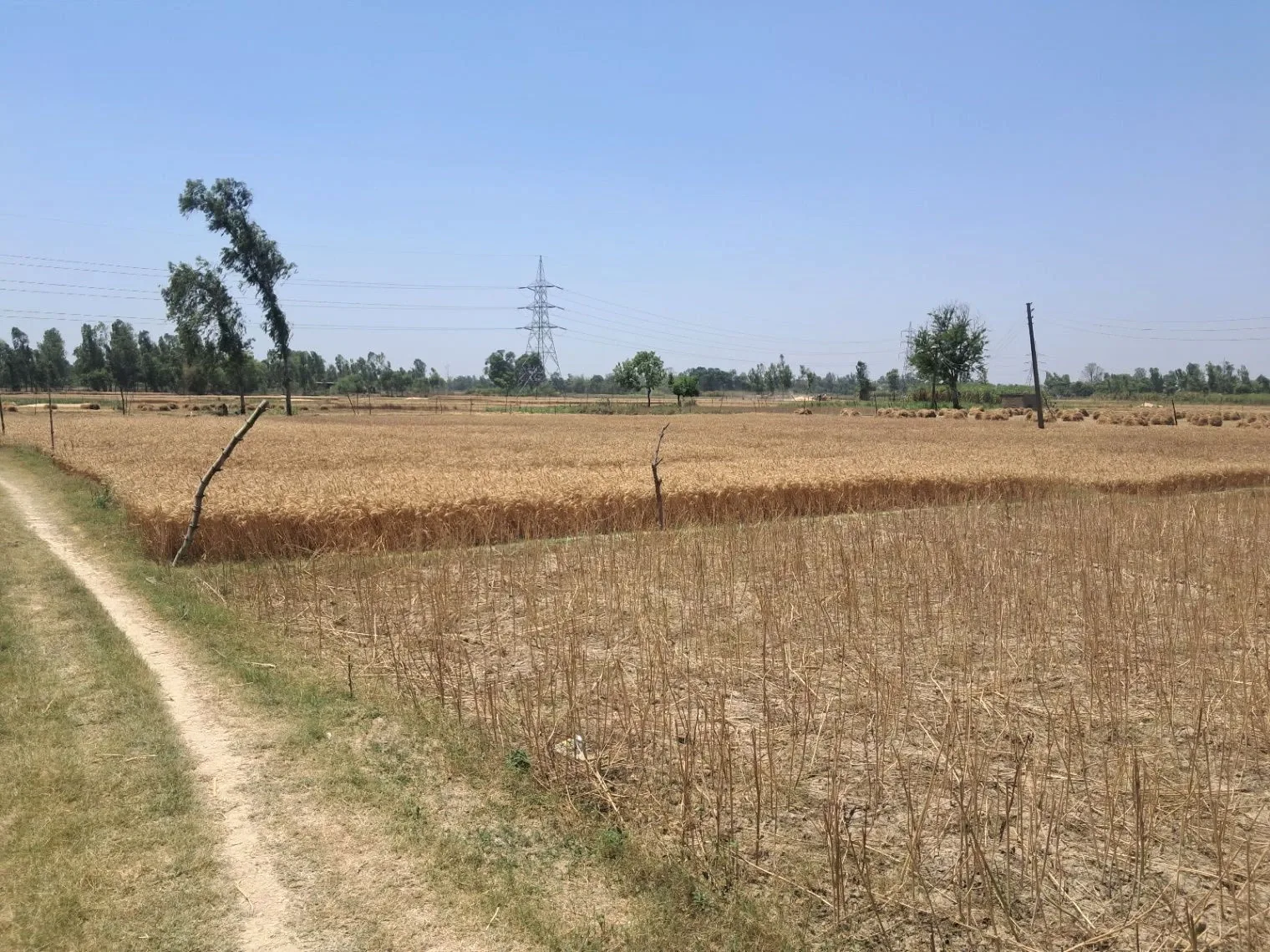 P5FJ+PF Malik Pur, Uttar Pradesh, India