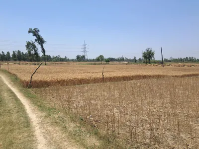 P5FJ+PF Malik Pur, Uttar Pradesh, India preview 3