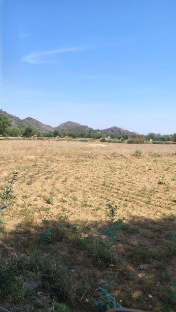 8WPF+MG Chonsala, Madhya Pradesh, India
