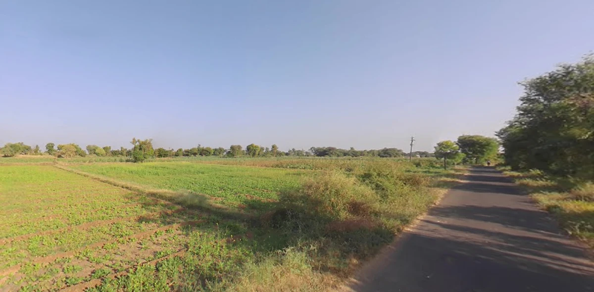 Hansalpur, Gujarat 382150, India