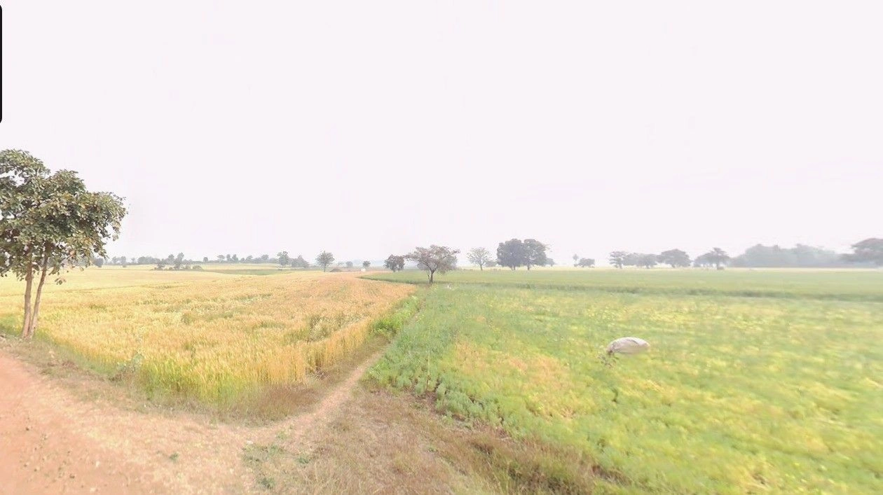 Manikhedi, Madhya Pradesh 462101, India