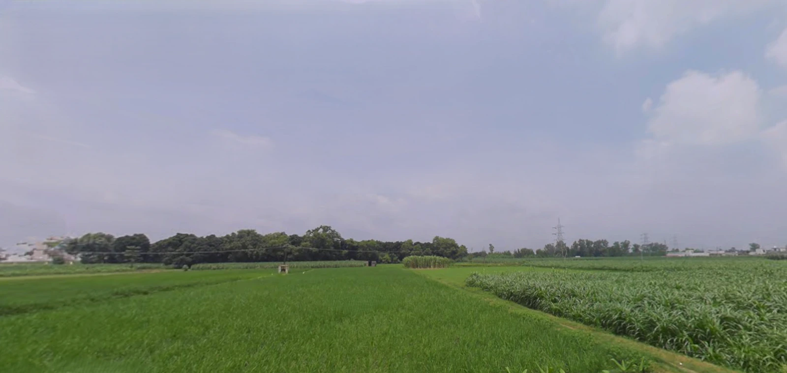 Roorkee, Uttarakhand, India