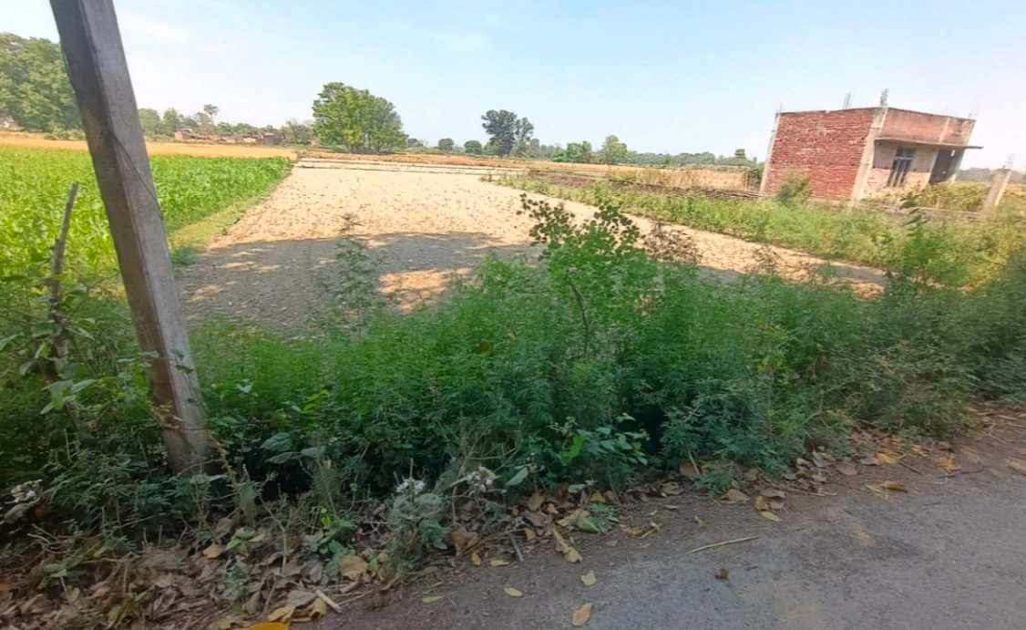 Q623+CH, Mirzapur Mafi, Uttar Pradesh 224135, India