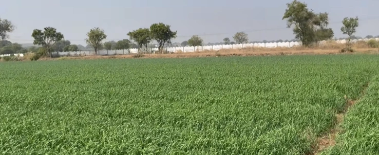 6GWM+WR Naneu, Phalodi, Rajasthan, India - Photo 3