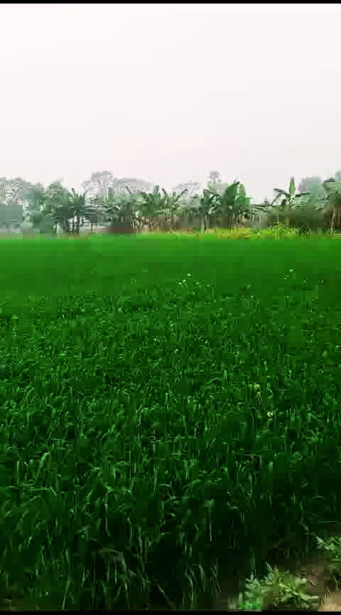 Bhathahi, Bihar, India