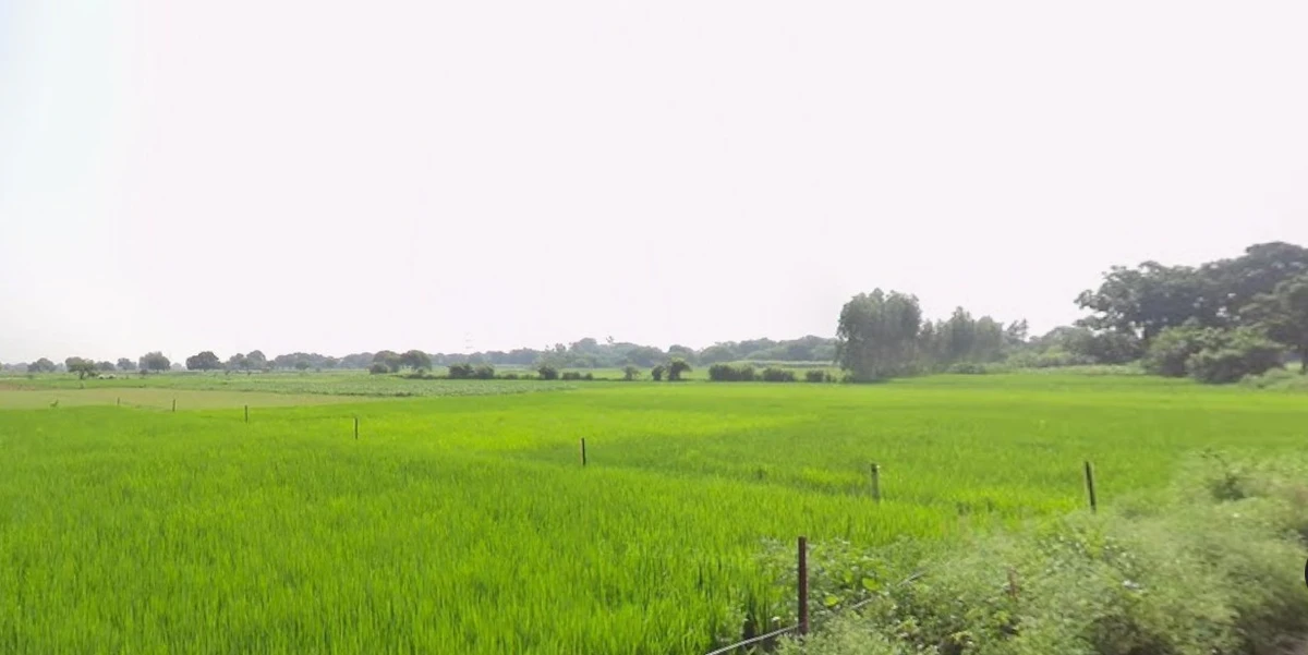 Dr. Ambedkar Nagar, Madhya Pradesh 453441, India