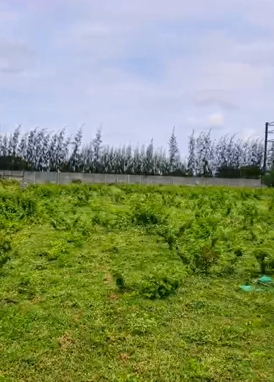 PF5M+XQ Kallakal, Medak, Telangana, India