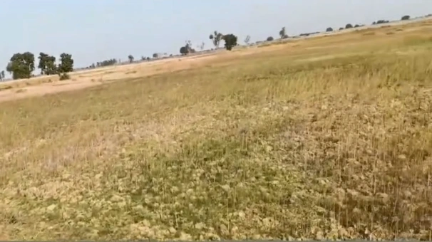 Meja Tehsil, Uttar Pradesh 212302, India preview 3