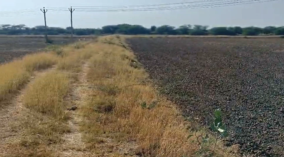 4HP3+G9 Lamba Kalan, Tonk, Rajasthan, India