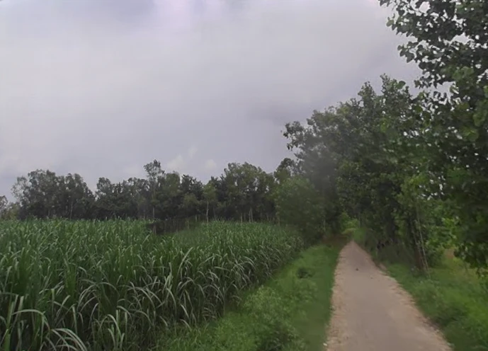 Naya Gaon, Uttar Pradesh 247451, India