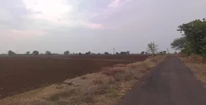 Godhavi, Gujarat 382115, India preview 2