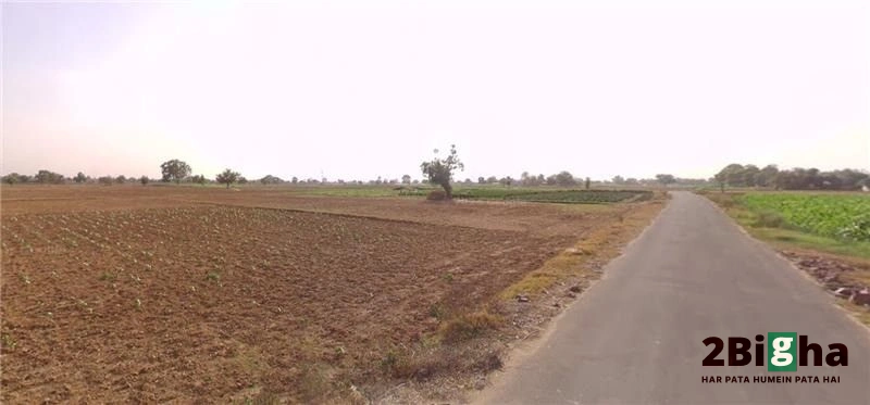 Rajgarh, Rajasthan 301408, India