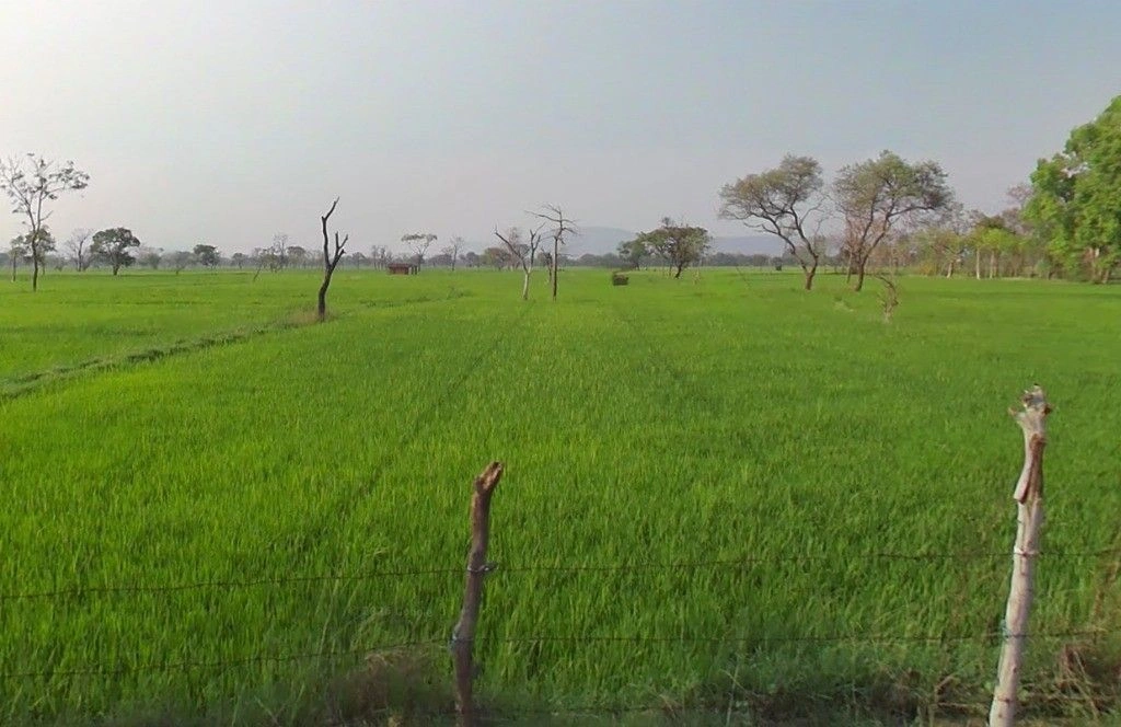 Bandha, Chhattisgarh, India preview 2