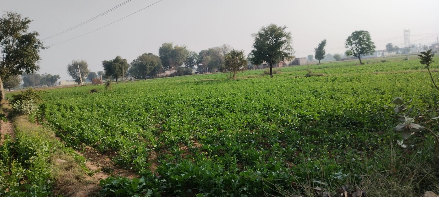 Ghat, Rajasthan, India