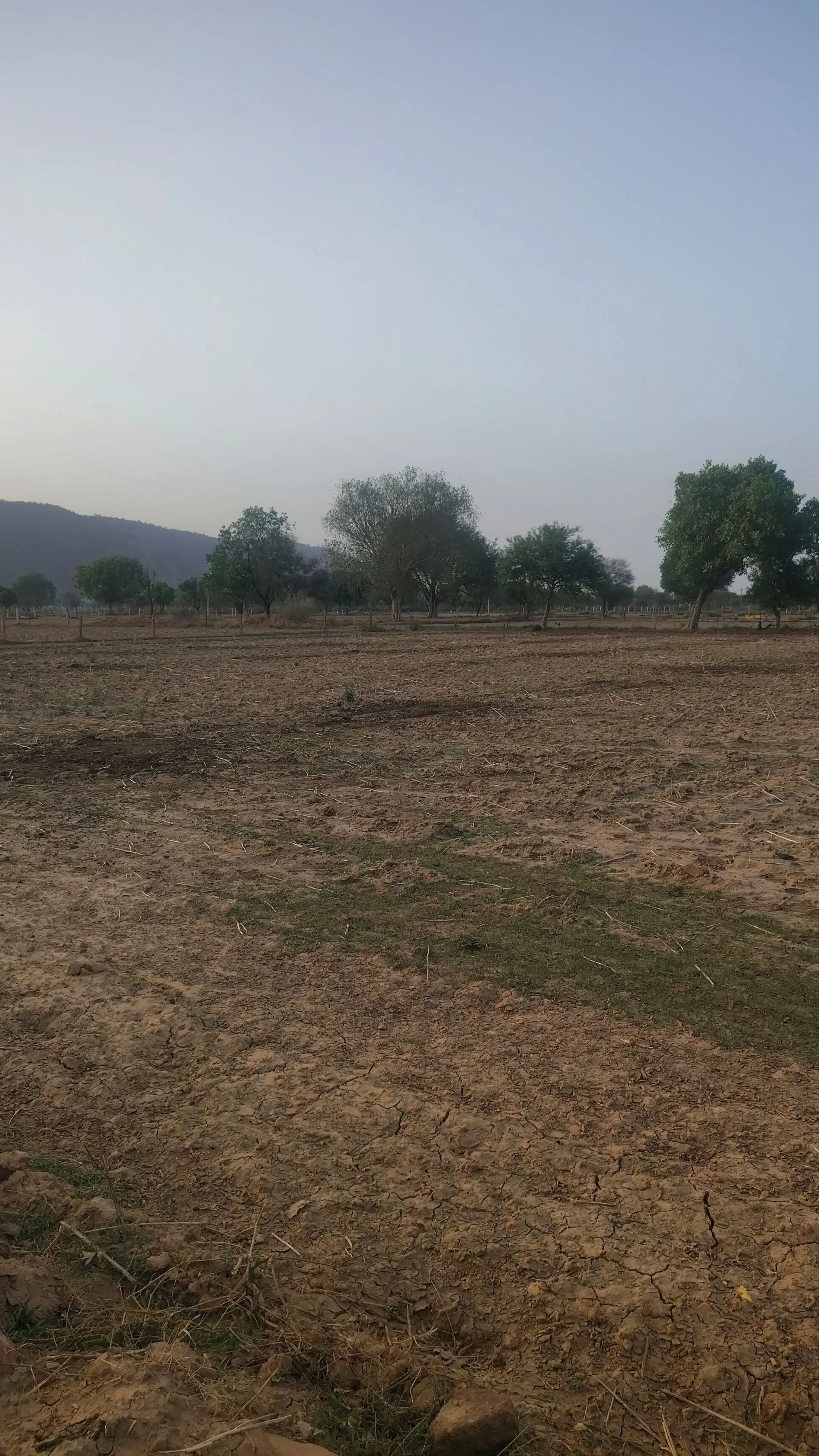 Khunteta Kalan, Rajasthan, India