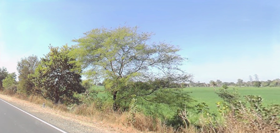 AIIMS Campus Rd, AIIMS Campus, Saket Nagar, Habib Ganj, Bhopal, Madhya Pradesh 462020, India