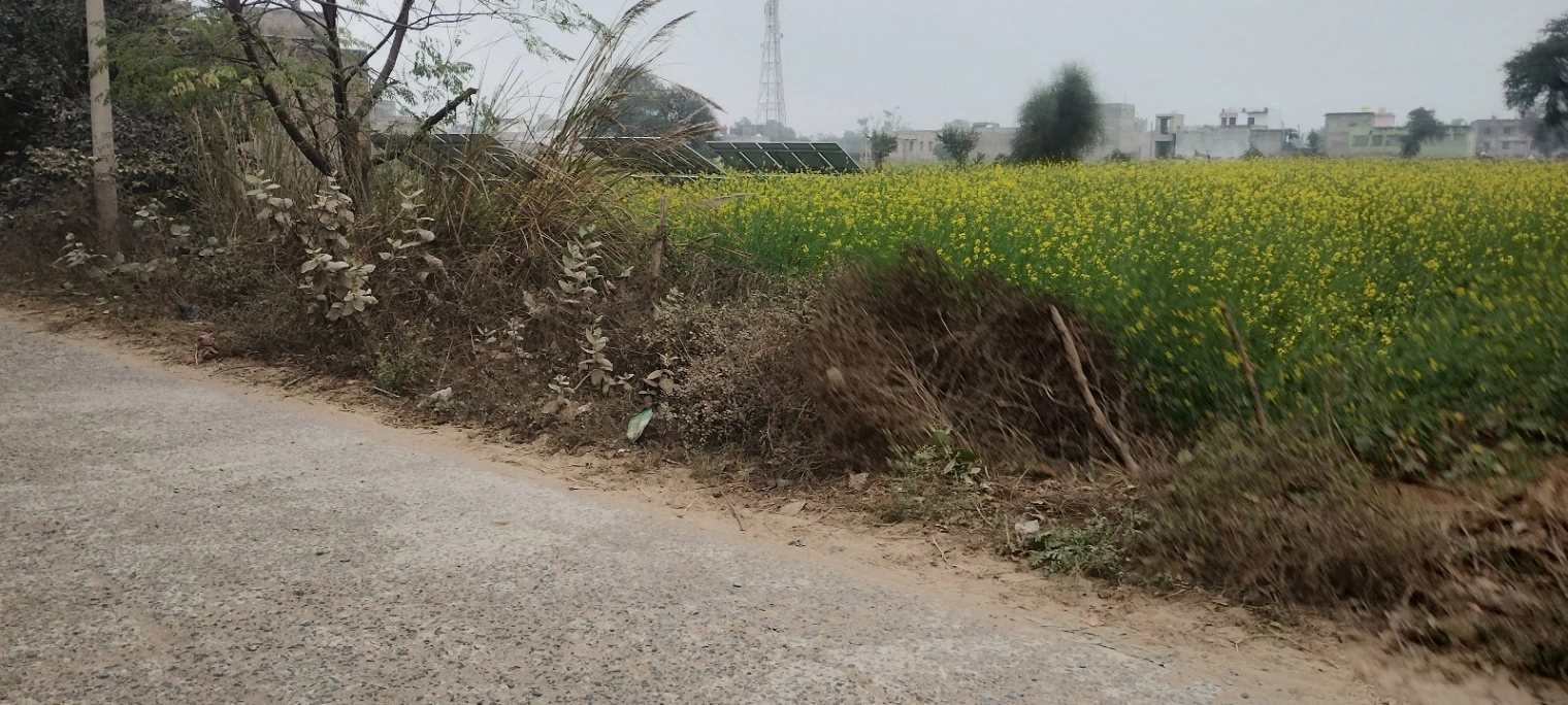 Barodameo, Rajasthan 301021, India