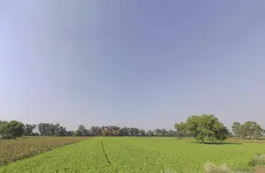 Nanuana, Haryana 125076, India preview 3