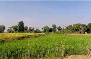 Bassi Naaga, Jaipur, NH-8, Ajmer Road, Jobner, Jobner, Rajasthan 303329, India preview 3