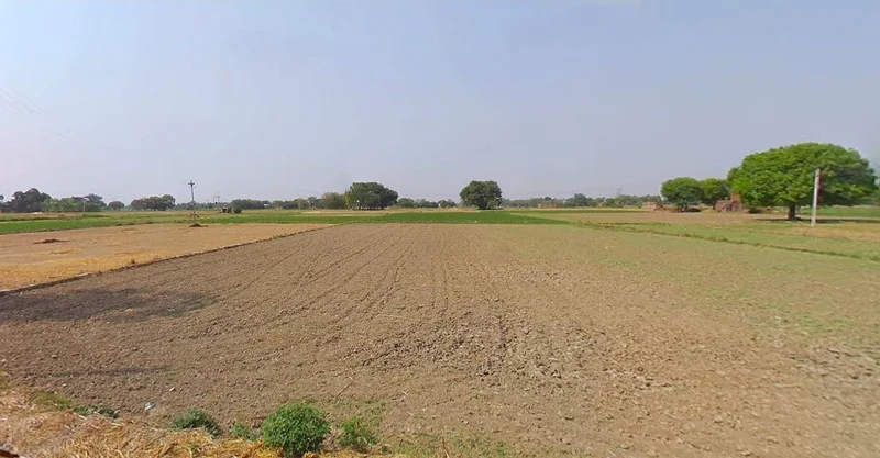 Jewar, Uttar Pradesh 203135, India preview 2