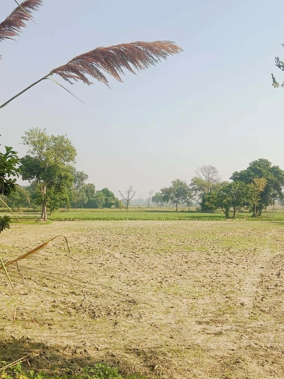 Umari, Mathura, Uttar Pradesh 281123, India