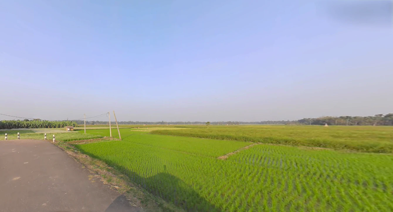 Street 634, more, near akhanka, AA IIC, Newtown, Kolkata, New Town, West Bengal 700161, India