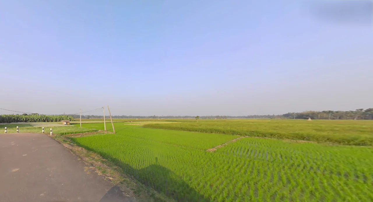 Street 634, more, near akhanka, AA IIC, Newtown, Kolkata, New Town, West Bengal 700161, India preview 2