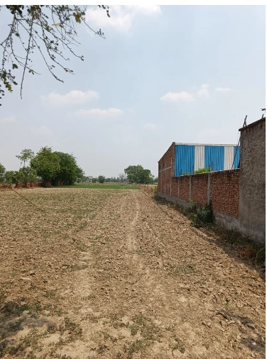 Alwar near Tanki, Behror, Dhoondhariya, Rajasthan 301709, India