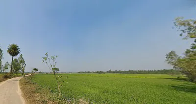 Bhagwanpur, Uttarakhand 247661, India preview 3